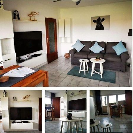 Deichwohnung Strandweg 7 弗里德里希斯科格-斯皮兹 外观 照片